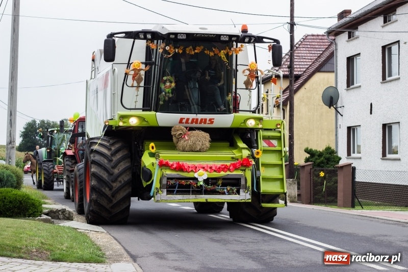Zdjęcie w galerii na portalu naszraciborz.pl: Mąż rolnik poszukiwany, czyli kolorowe dożynki w Makowie wiadomości z regionu
