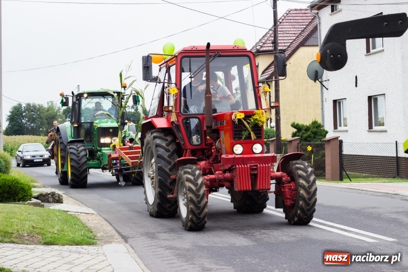 Zdjęcie w galerii na portalu naszraciborz.pl: Mąż rolnik poszukiwany, czyli kolorowe dożynki w Makowie wiadomości z regionu
