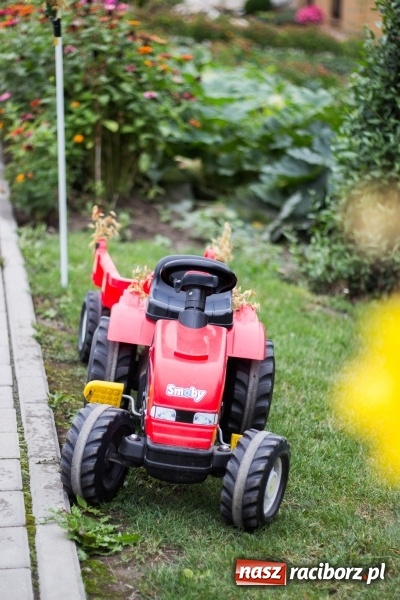 Zdjęcie w galerii na portalu naszraciborz.pl: Mąż rolnik poszukiwany, czyli kolorowe dożynki w Makowie wiadomości z regionu