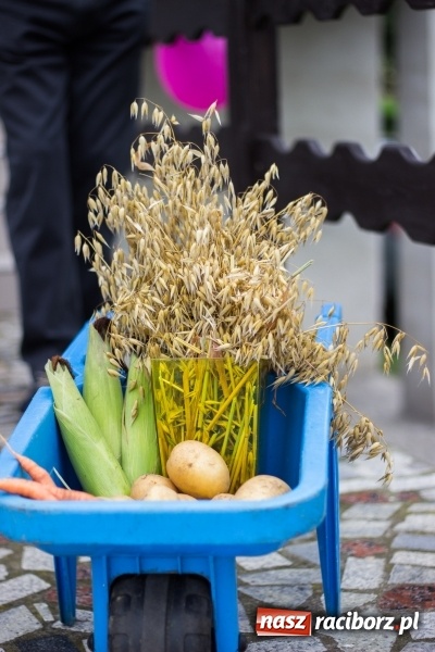 Zdjęcie w galerii na portalu naszraciborz.pl: Mąż rolnik poszukiwany, czyli kolorowe dożynki w Makowie wiadomości z regionu