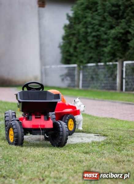 Zdjęcie w galerii na portalu naszraciborz.pl: Mąż rolnik poszukiwany, czyli kolorowe dożynki w Makowie wiadomości z regionu