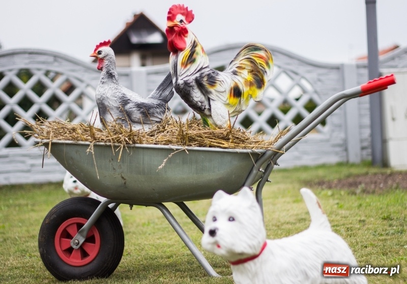 Zdjęcie w galerii na portalu naszraciborz.pl: Mąż rolnik poszukiwany, czyli kolorowe dożynki w Makowie wiadomości z regionu