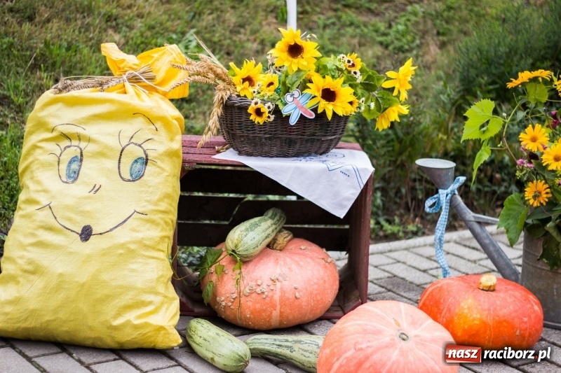 Zdjęcie w galerii na portalu naszraciborz.pl: Mąż rolnik poszukiwany, czyli kolorowe dożynki w Makowie wiadomości z regionu