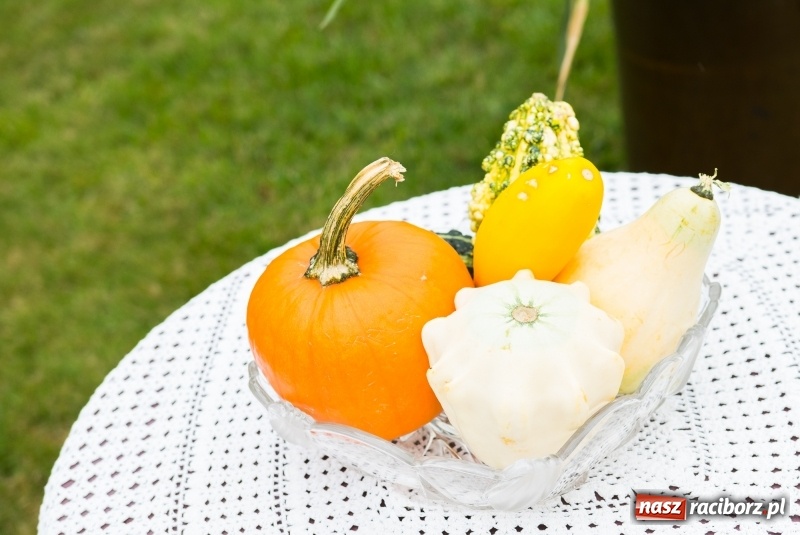 Zdjęcie w galerii na portalu naszraciborz.pl: Mąż rolnik poszukiwany, czyli kolorowe dożynki w Makowie wiadomości z regionu