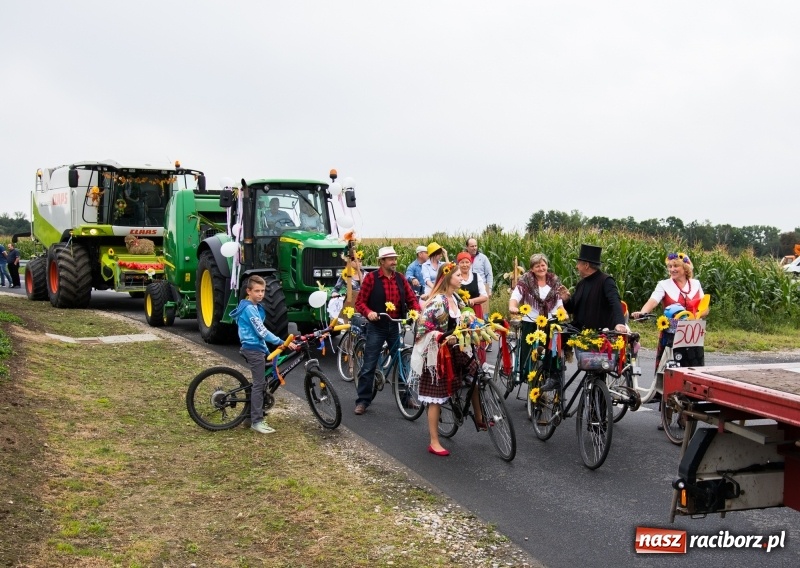 Zdjęcie w galerii na portalu naszraciborz.pl: Mąż rolnik poszukiwany, czyli kolorowe dożynki w Makowie wiadomości z regionu