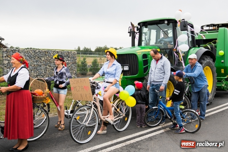 Zdjęcie w galerii na portalu naszraciborz.pl: Mąż rolnik poszukiwany, czyli kolorowe dożynki w Makowie wiadomości z regionu