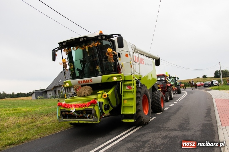 Zdjęcie w galerii na portalu naszraciborz.pl: Mąż rolnik poszukiwany, czyli kolorowe dożynki w Makowie wiadomości z regionu