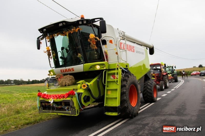 Zdjęcie w galerii na portalu naszraciborz.pl: Mąż rolnik poszukiwany, czyli kolorowe dożynki w Makowie wiadomości z regionu