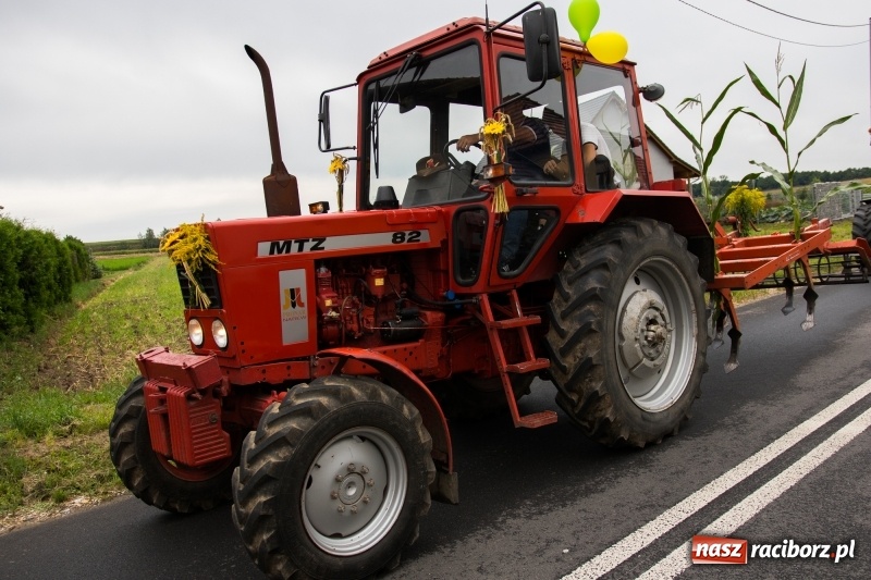 Zdjęcie w galerii na portalu naszraciborz.pl: Mąż rolnik poszukiwany, czyli kolorowe dożynki w Makowie wiadomości z regionu