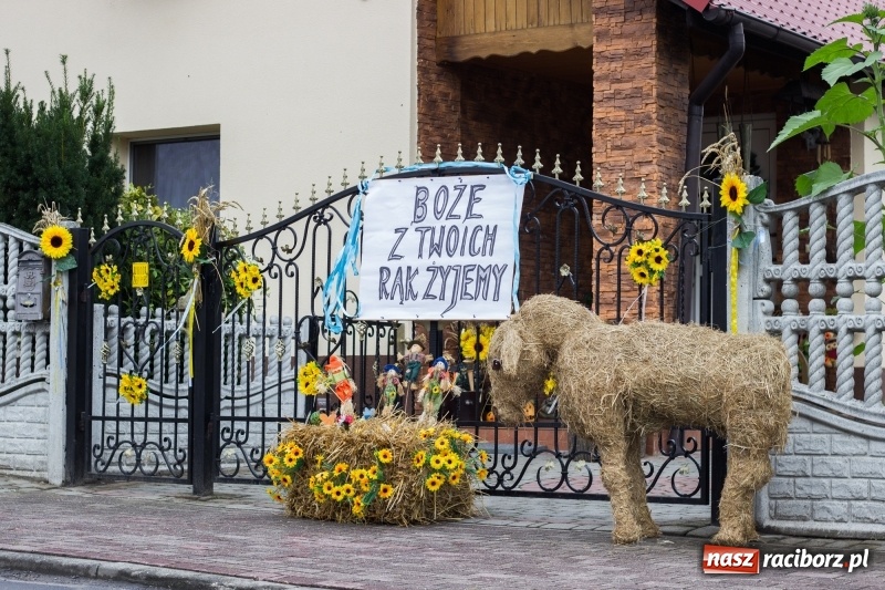 Zdjęcie w galerii na portalu naszraciborz.pl: Mąż rolnik poszukiwany, czyli kolorowe dożynki w Makowie wiadomości z regionu