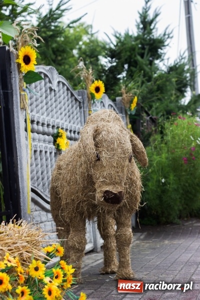 Zdjęcie w galerii na portalu naszraciborz.pl: Mąż rolnik poszukiwany, czyli kolorowe dożynki w Makowie wiadomości z regionu