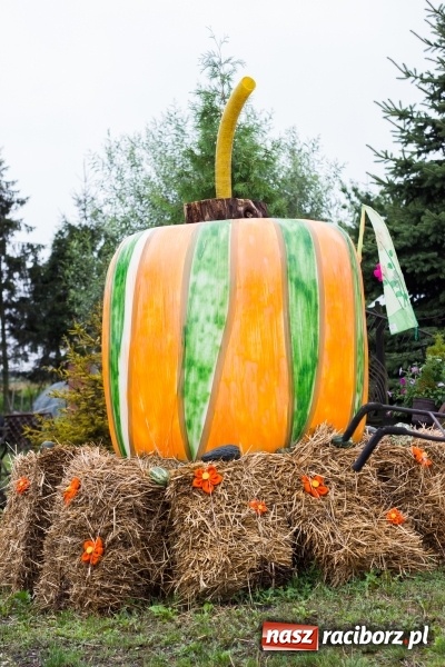 Zdjęcie w galerii na portalu naszraciborz.pl: Mąż rolnik poszukiwany, czyli kolorowe dożynki w Makowie wiadomości z regionu