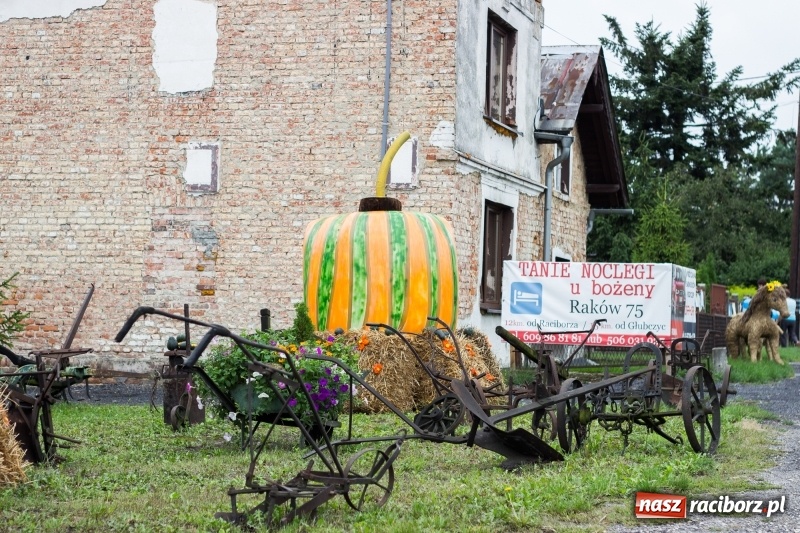 Zdjęcie w galerii na portalu naszraciborz.pl: Mąż rolnik poszukiwany, czyli kolorowe dożynki w Makowie wiadomości z regionu