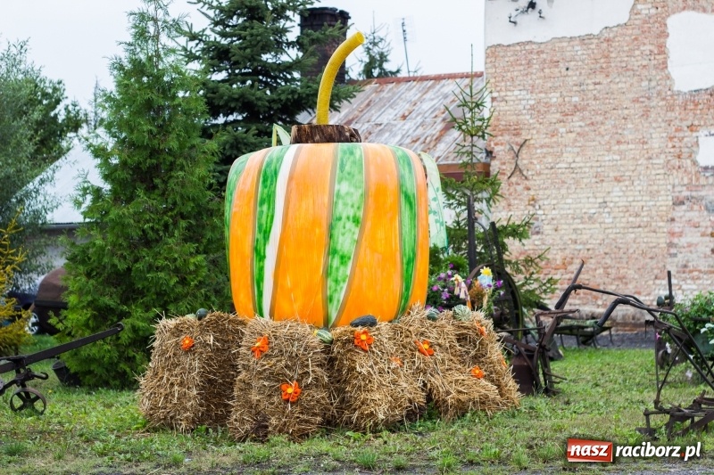 Zdjęcie w galerii na portalu naszraciborz.pl: Mąż rolnik poszukiwany, czyli kolorowe dożynki w Makowie wiadomości z regionu
