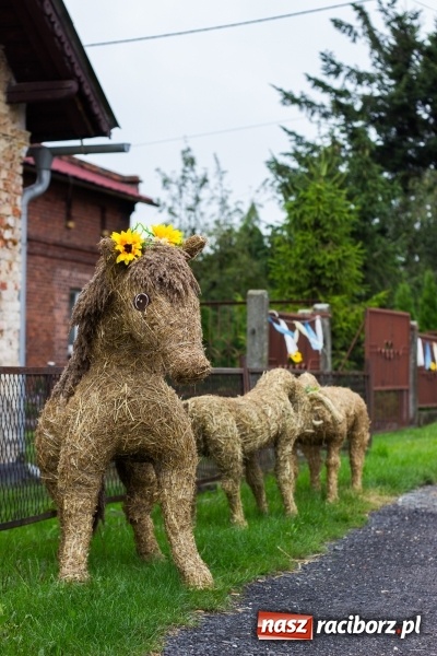 Zdjęcie w galerii na portalu naszraciborz.pl: Mąż rolnik poszukiwany, czyli kolorowe dożynki w Makowie wiadomości z regionu