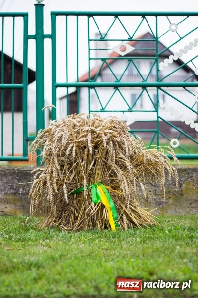 Zdjęcie w galerii na portalu naszraciborz.pl: Mąż rolnik poszukiwany, czyli kolorowe dożynki w Makowie wiadomości z regionu