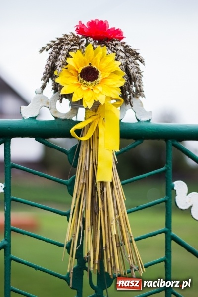 Zdjęcie w galerii na portalu naszraciborz.pl: Mąż rolnik poszukiwany, czyli kolorowe dożynki w Makowie wiadomości z regionu