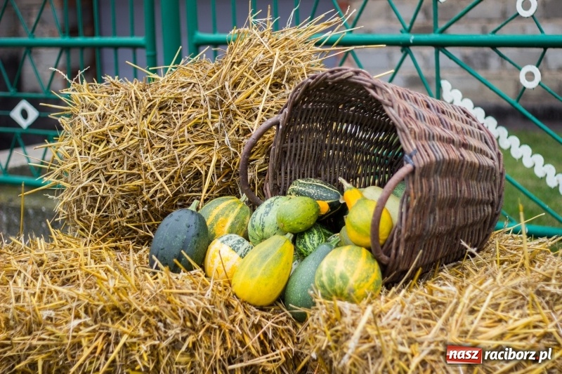 Zdjęcie w galerii na portalu naszraciborz.pl: Mąż rolnik poszukiwany, czyli kolorowe dożynki w Makowie wiadomości z regionu