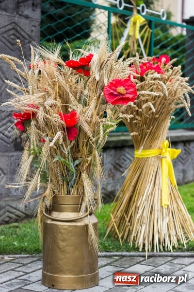 Zdjęcie w galerii na portalu naszraciborz.pl: Mąż rolnik poszukiwany, czyli kolorowe dożynki w Makowie wiadomości z regionu