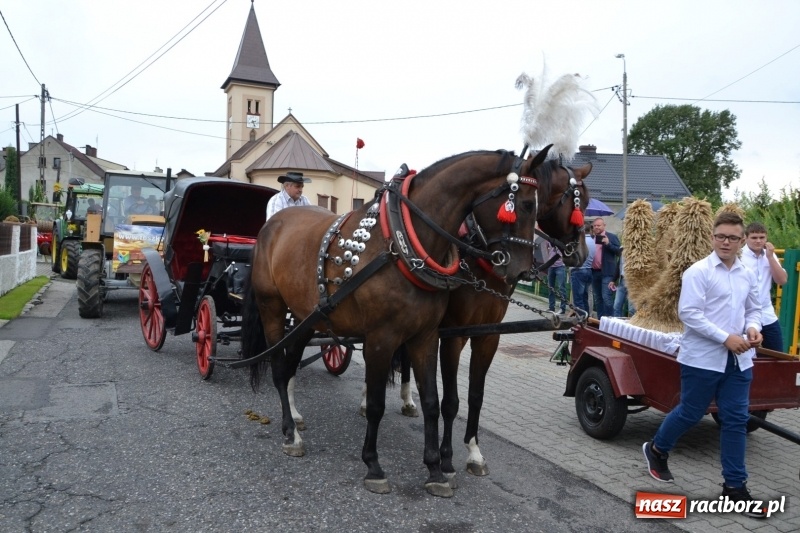 Zdjęcie w galerii na portalu naszraciborz.pl: Rockmanki i MasterChef Junior na dożynkach w Roszkowie  wiadomości z regionu