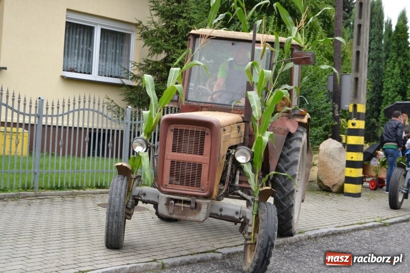 Zdjęcie w galerii na portalu naszraciborz.pl: Rockmanki i MasterChef Junior na dożynkach w Roszkowie  wiadomości z regionu