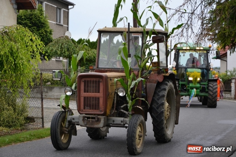 Zdjęcie w galerii na portalu naszraciborz.pl: Rockmanki i MasterChef Junior na dożynkach w Roszkowie  wiadomości z regionu
