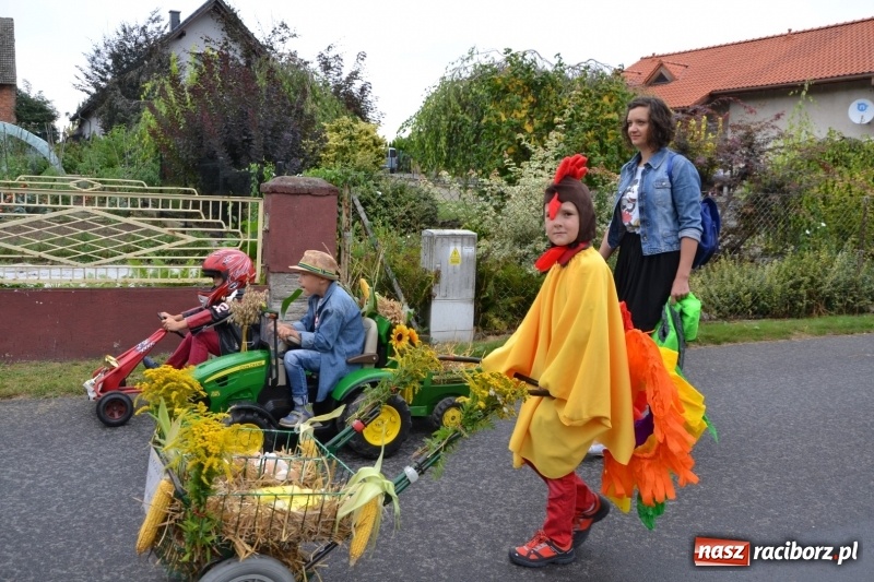 Zdjęcie w galerii na portalu naszraciborz.pl: Rockmanki i MasterChef Junior na dożynkach w Roszkowie  wiadomości z regionu
