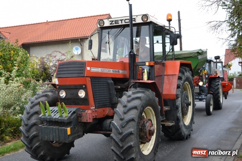 Zdjęcie w galerii na portalu naszraciborz.pl: Rockmanki i MasterChef Junior na dożynkach w Roszkowie  wiadomości z regionu