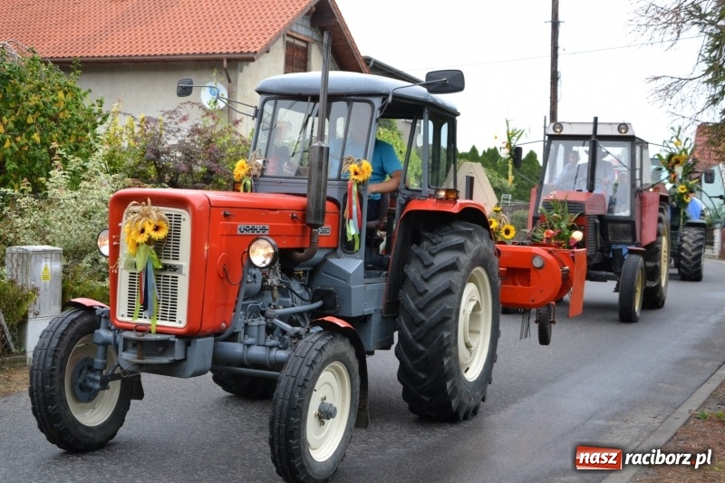 Zdjęcie w galerii na portalu naszraciborz.pl: Rockmanki i MasterChef Junior na dożynkach w Roszkowie  wiadomości z regionu