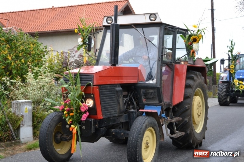 Zdjęcie w galerii na portalu naszraciborz.pl: Rockmanki i MasterChef Junior na dożynkach w Roszkowie  wiadomości z regionu