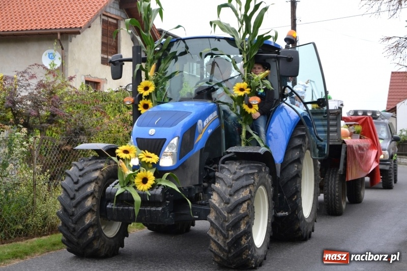 Zdjęcie w galerii na portalu naszraciborz.pl: Rockmanki i MasterChef Junior na dożynkach w Roszkowie  wiadomości z regionu