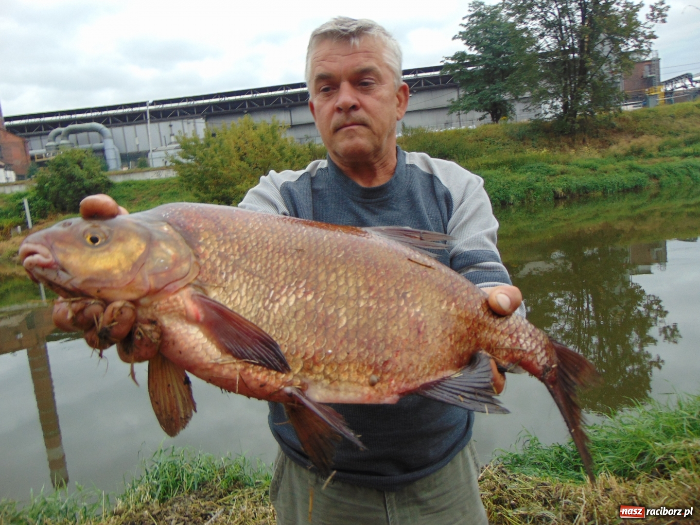 Zdjęcie w galerii na portalu naszraciborz.pl: Taka ryba tylko w Odrze. Rekordowy leszcz złowiony podczas zawodów w 20. rocznicę powodzi  wiadomości z regionu