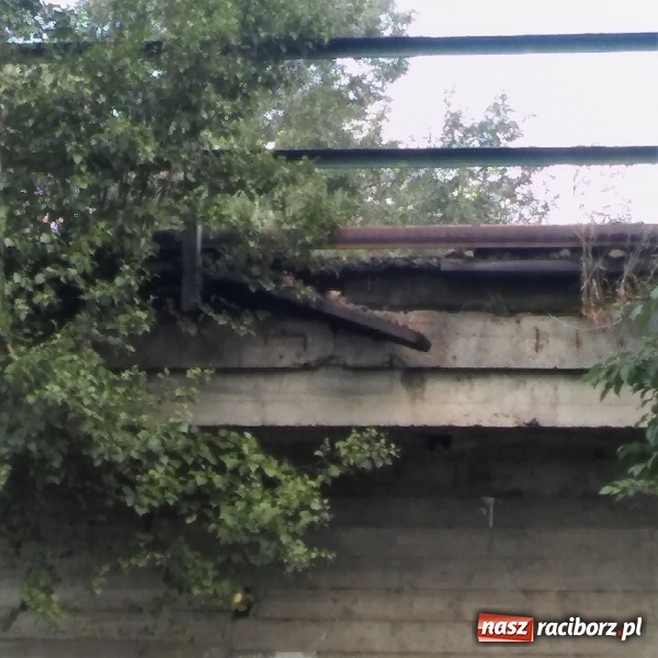 Zdjęcie w galerii na portalu naszraciborz.pl: Czy musi dojść do wypadku? Zwisająca deska zagraża rowerzystom! wiadomości z regionu