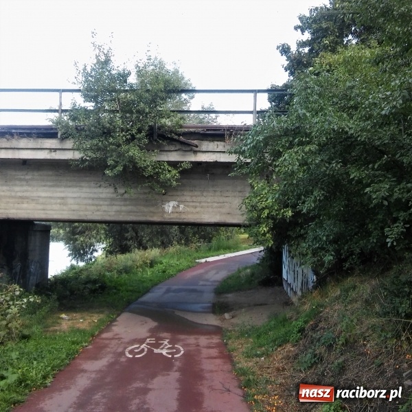 Zdjęcie w galerii na portalu naszraciborz.pl: Czy musi dojść do wypadku? Zwisająca deska zagraża rowerzystom! wiadomości z regionu