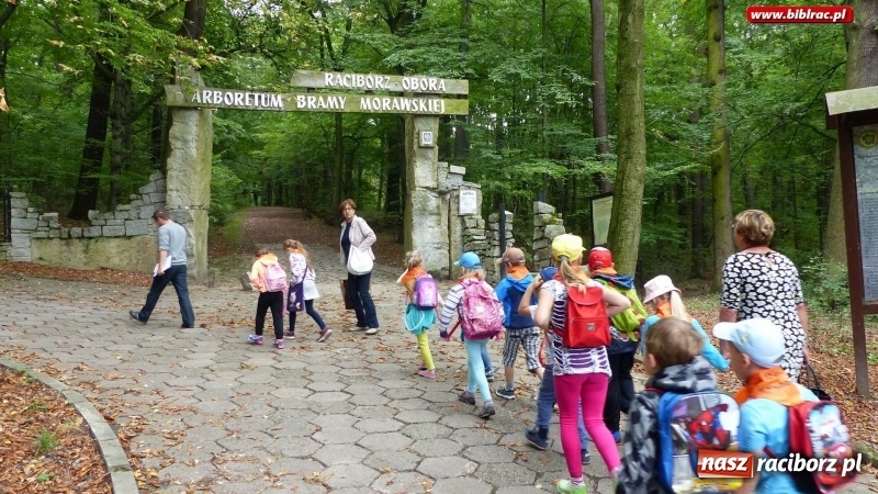 Zdjęcie w galerii na portalu naszraciborz.pl: Lato z biblioteką: Dzień Lasu w Oborze wiadomości z regionu