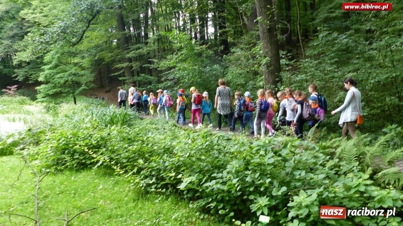 Zdjęcie w galerii na portalu naszraciborz.pl: Lato z biblioteką: Dzień Lasu w Oborze wiadomości z regionu