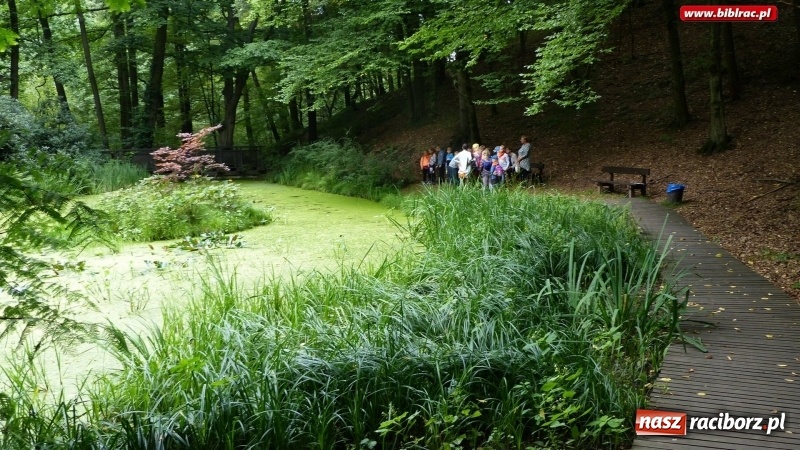 Zdjęcie w galerii na portalu naszraciborz.pl: Lato z biblioteką: Dzień Lasu w Oborze wiadomości z regionu