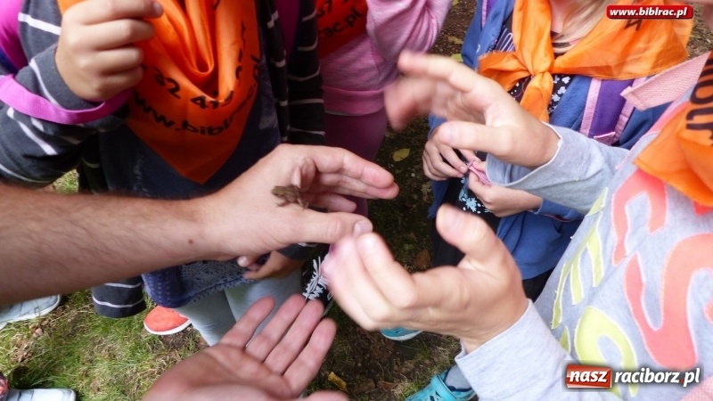 Zdjęcie w galerii na portalu naszraciborz.pl: Lato z biblioteką: Dzień Lasu w Oborze wiadomości z regionu