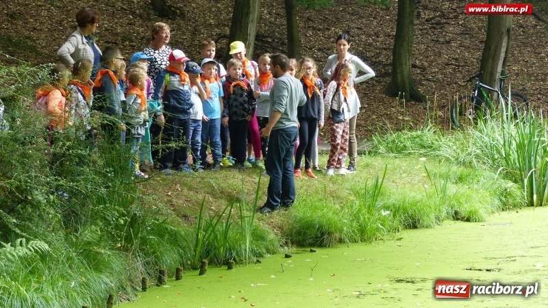 Zdjęcie w galerii na portalu naszraciborz.pl: Lato z biblioteką: Dzień Lasu w Oborze wiadomości z regionu
