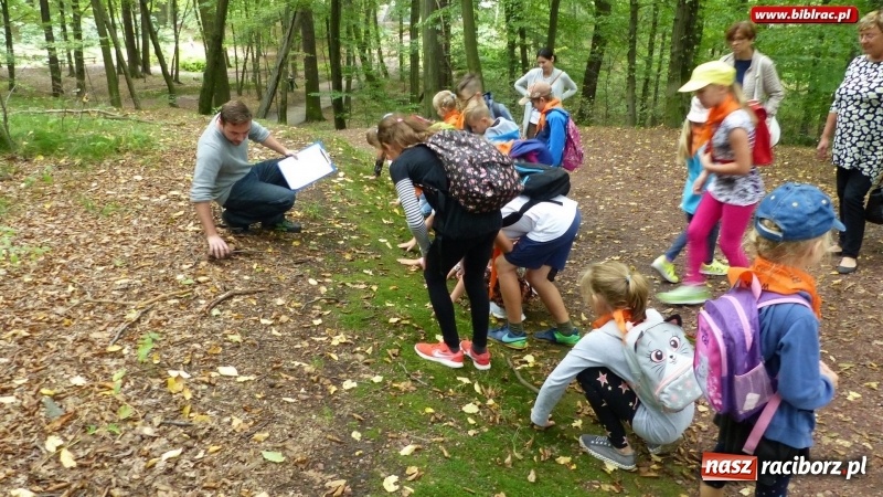 Zdjęcie w galerii na portalu naszraciborz.pl: Lato z biblioteką: Dzień Lasu w Oborze wiadomości z regionu