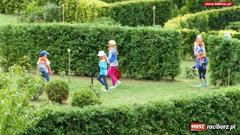 Zdjęcie w galerii na portalu naszraciborz.pl: Lato z biblioteką: Dzień Lasu w Oborze wiadomości z regionu
