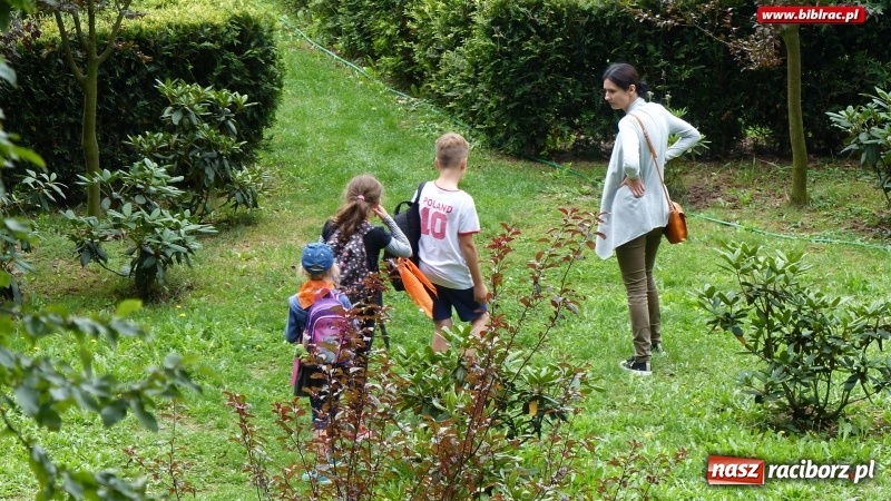 Zdjęcie w galerii na portalu naszraciborz.pl: Lato z biblioteką: Dzień Lasu w Oborze wiadomości z regionu