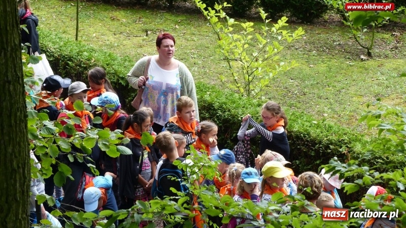 Zdjęcie w galerii na portalu naszraciborz.pl: Lato z biblioteką: Dzień Lasu w Oborze wiadomości z regionu