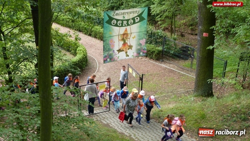 Zdjęcie w galerii na portalu naszraciborz.pl: Lato z biblioteką: Dzień Lasu w Oborze wiadomości z regionu