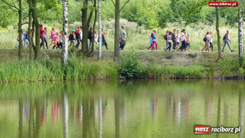 Zdjęcie w galerii na portalu naszraciborz.pl: Lato z biblioteką: Dzień Lasu w Oborze wiadomości z regionu