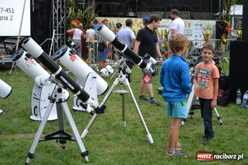 Zdjęcie w galerii na portalu naszraciborz.pl: Piknik pod gwiazdami przy zamku w Tworkowie wiadomości z regionu