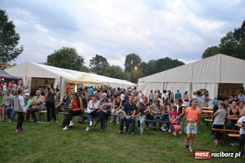 Zdjęcie w galerii na portalu naszraciborz.pl: Piknik pod gwiazdami przy zamku w Tworkowie wiadomości z regionu