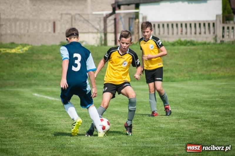 Zdjęcie w galerii na portalu naszraciborz.pl: MOSiR Jastrzębie zwycięzcą pierwszego dnia Turnieju im. Zbigniewa Oszka wiadomości z regionu