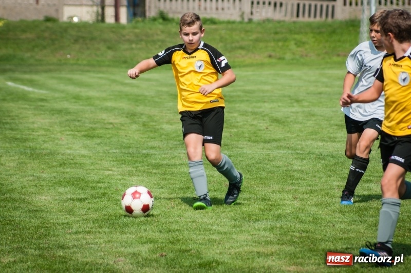 Zdjęcie w galerii na portalu naszraciborz.pl: MOSiR Jastrzębie zwycięzcą pierwszego dnia Turnieju im. Zbigniewa Oszka wiadomości z regionu