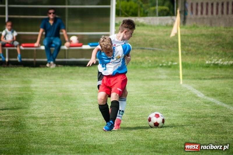 Zdjęcie w galerii na portalu naszraciborz.pl: MOSiR Jastrzębie zwycięzcą pierwszego dnia Turnieju im. Zbigniewa Oszka wiadomości z regionu